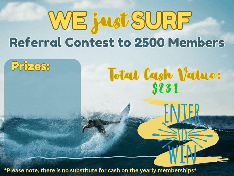 WE JUST SURF!